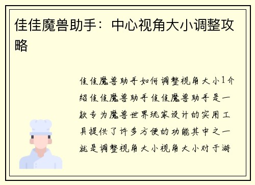 佳佳魔兽助手：中心视角大小调整攻略